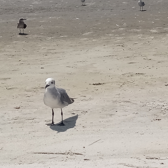 Im Patricia..I Love Offers And Bundles.. Doing Closet Cleanout ! - Picture 4 of 4